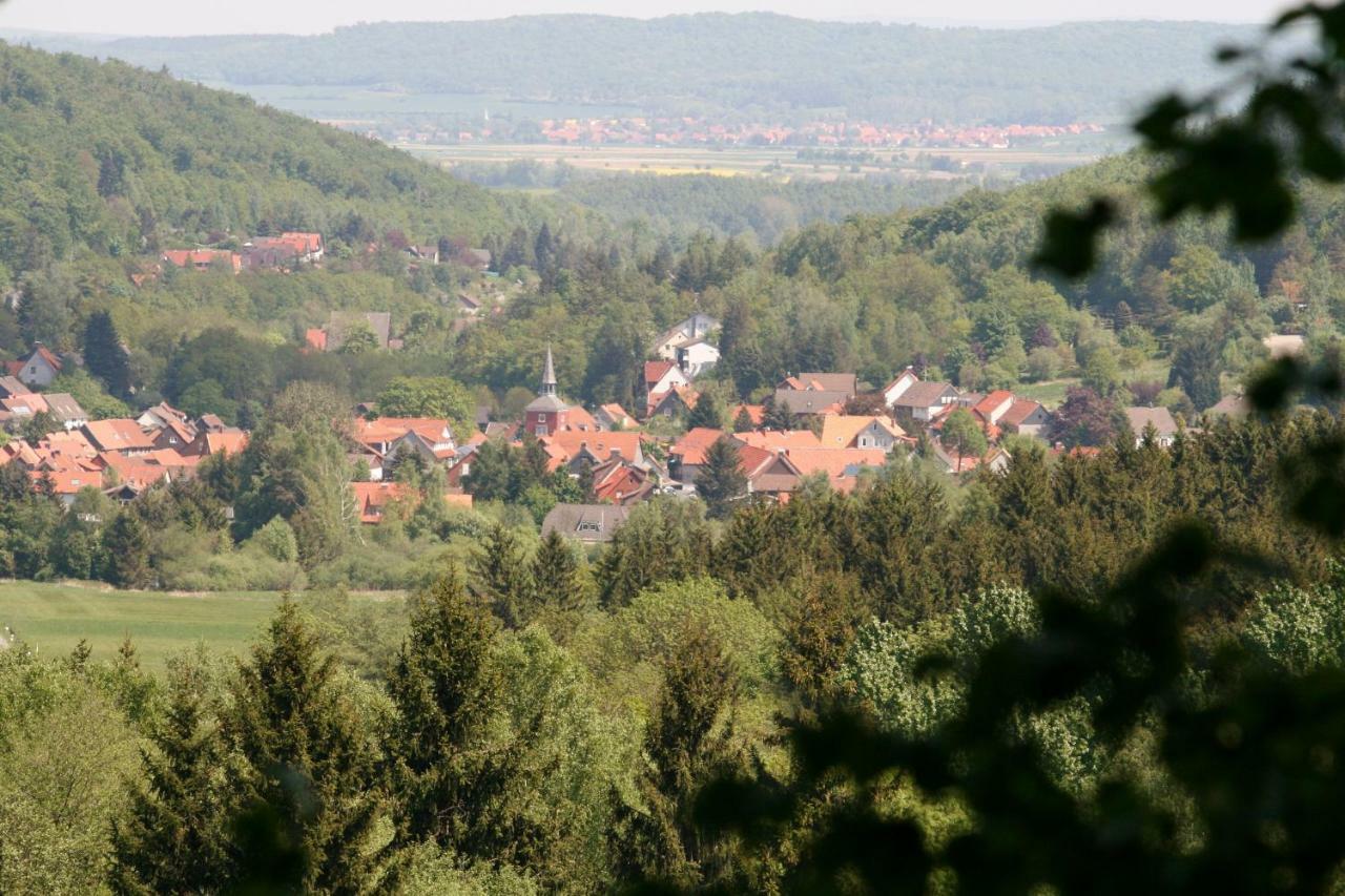 Haus Christa Apartment Langelsheim Luaran gambar
