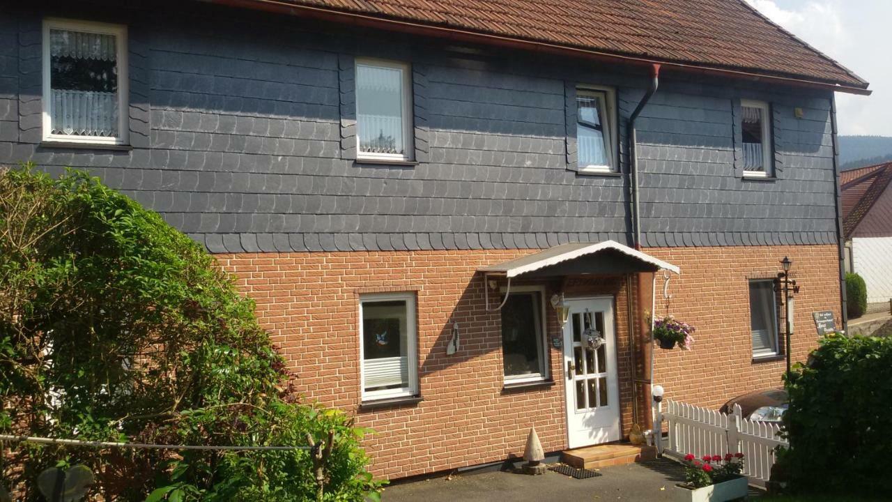 Haus Christa Apartment Langelsheim Luaran gambar